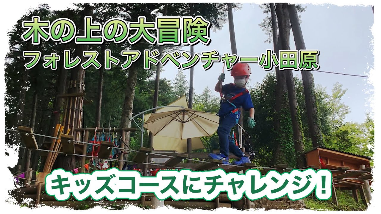 フォレストアドベンチャー小田原｜身長90cmから遊べるキッズコースに7歳はるとがチャレンジ！