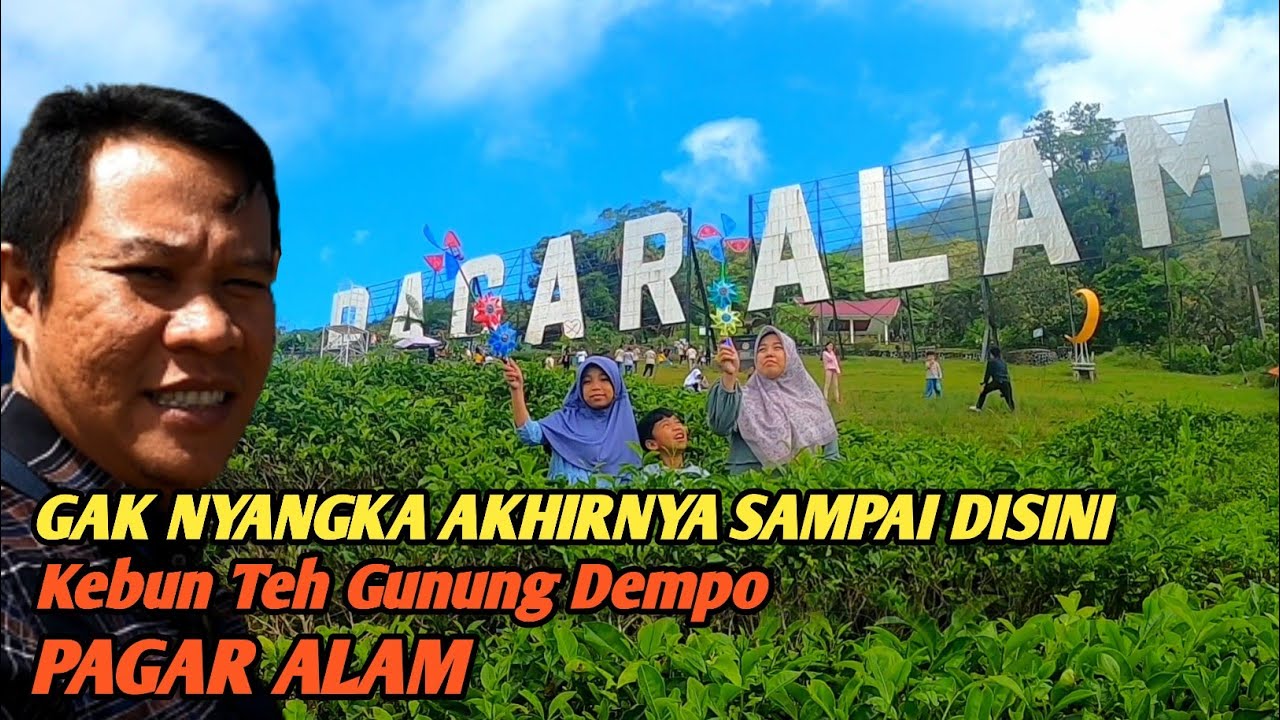 PAGARALAM Part 3, Kebun Teh Gunung Dempo Pagaralam, Tugu Rimau - YouTube
