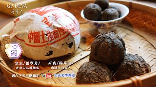 普洱茶入門｜唯一可以喝的古董｜茶葉的故事｜六六茶堂EP2