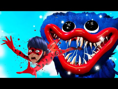 Video: Ladybug Niyə Belə Adlanır?