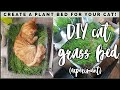 I made my cats a BED OF GRASS?! Cat Grass Bed Tutorial & Experiment