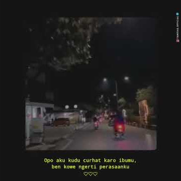 Story WA Cerito Loro