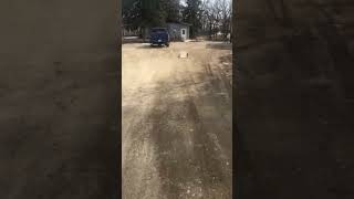 IMG 06441