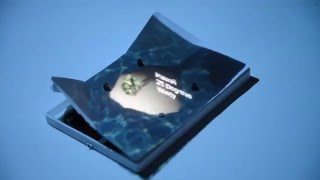Famous Combining Shape-Changing Interfaces and Spatial Augmented Reality Enables Extended Object Appearance Wealth