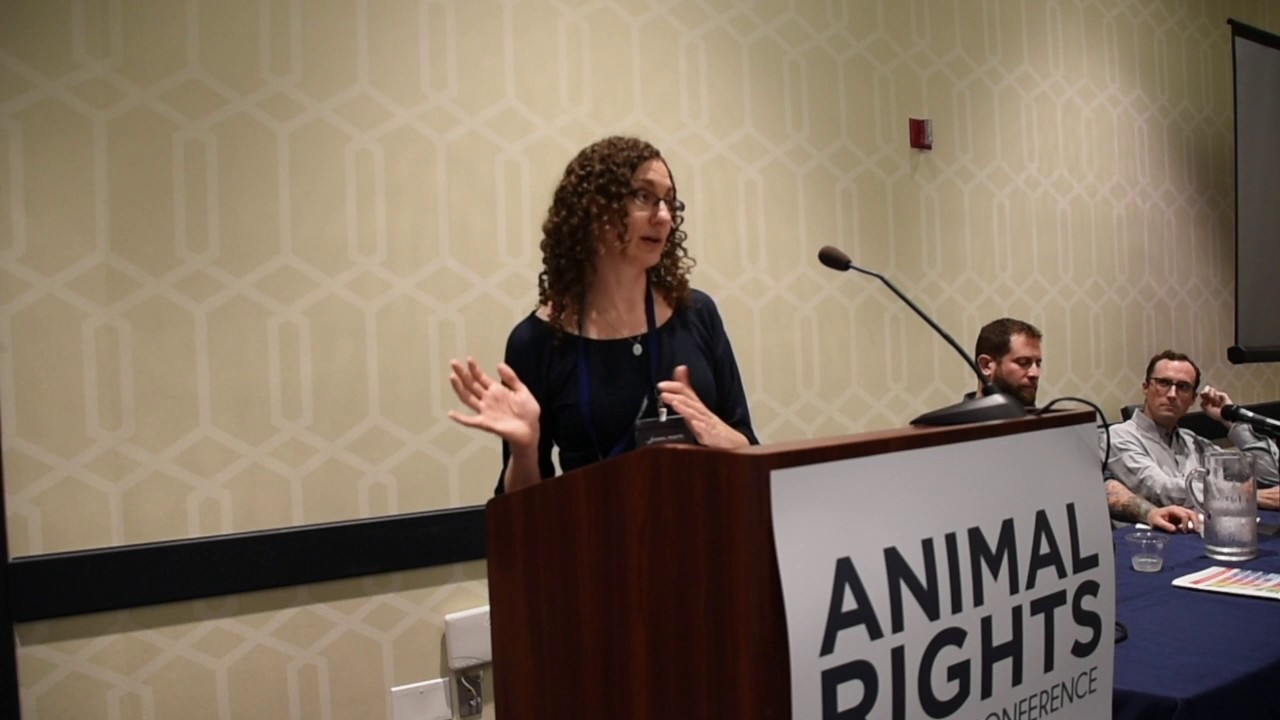 Dissecting the SHAC Campaign