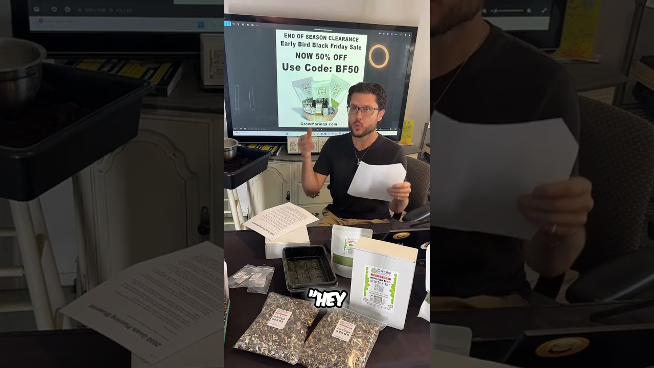 Развивайте свой бизнес с Морингой: спонсорство и личный кабинет