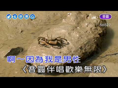 欠某的情~男原調~伴奏~導唱甲