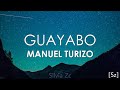 Manuel Turizo Guayabo Letra mp3