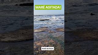 Maré Agitada!#mare#praia #natureza #ondas#agitação #top #show