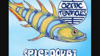 Ozric Tentacles - Sploosh Live 1998.Wmv