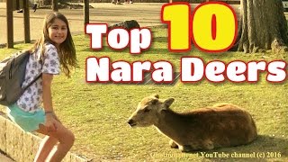 Naras Top 10 Bowing Deer