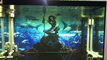 Ghép Rồng Và La Hán