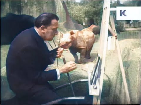 1950s - Salvador Dali Painting A Rhino At The Zoo [Colorized]