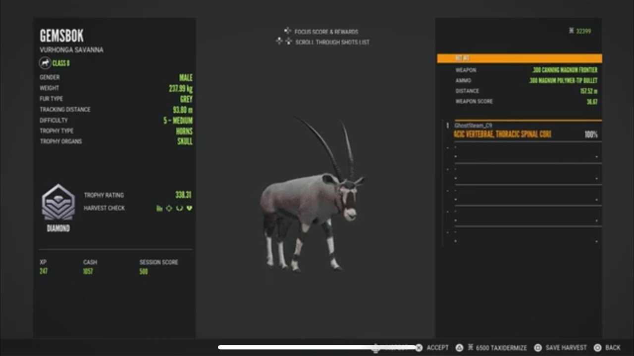 Diamond Gemsbok YouTube