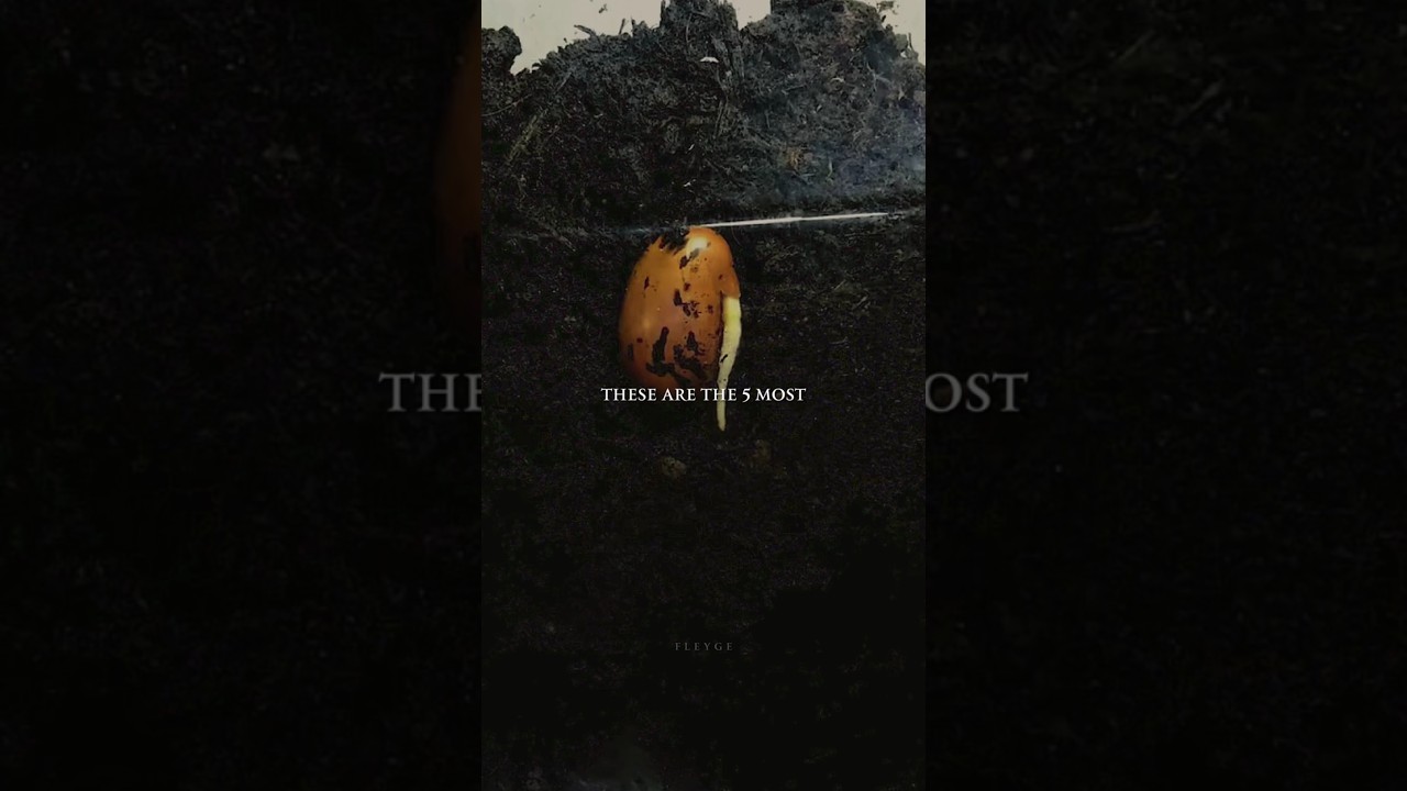 These are the 5 most useful plants in the world.