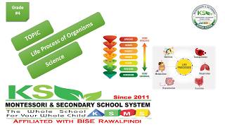 KSMS | Grade 4 | Sceince | Classification and LIfe process of organisms