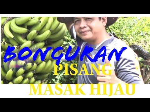 Pisang Masak Hijau