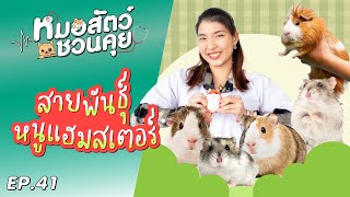 สายพันธุ์หนูแฮมสเตอร์ | หมอสัตว์ชวนคุย EP41 by OSDCO Official 262 views 3 months ago 7 minutes, 29 seconds