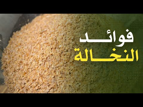 ما هي النخالة وما هي فوائد النخالة