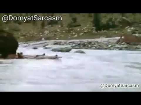 اسد دمياطي جعان الجزء الثاني 