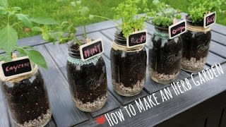 How to: Indoor Herb Garden