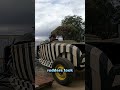 The Wild Car Mod You Won’t Believe: Boat Windshields on Hotrods!