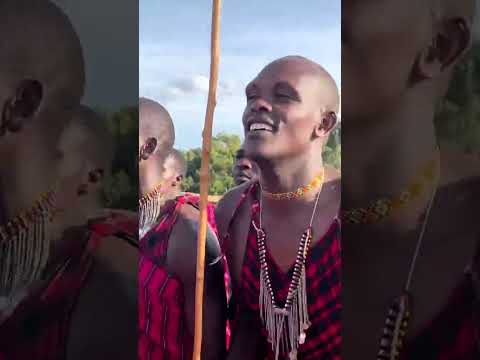 A Tale Of Vibrant Hues And Dances Of The Masaimara People 
