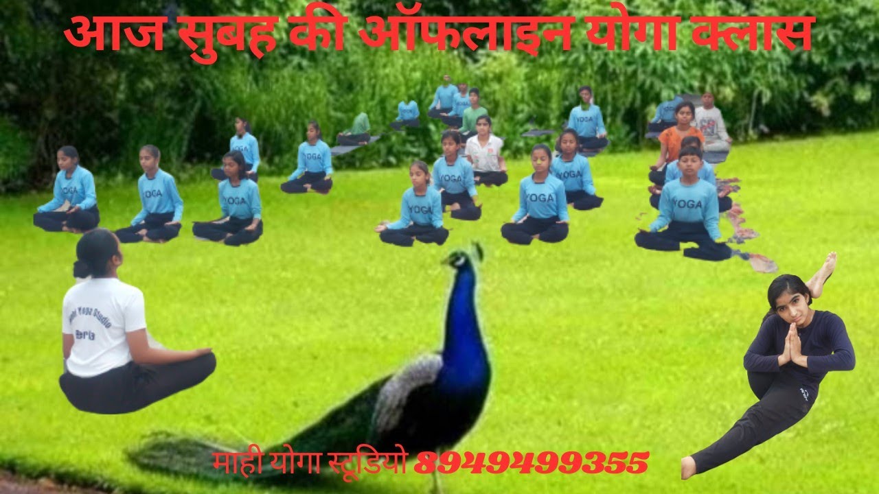 today Morning Offline Yoga Class my Village Berla November 3 today-morning-offline-yoga-class-my-village-berla-november-3