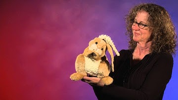 Folkmanis® Patchwork Rabbit Puppet Demo - Retired