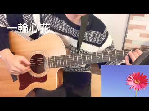 一輪心花　岡平健治　弾き語りカバー