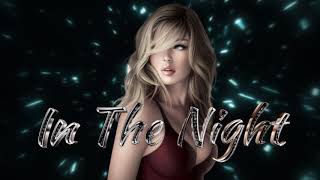 Download Lagu Miko Vanilla - In The Night (Instrumental Ram Mix) İtalo Disco MP3