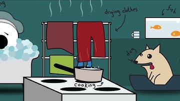 What is damp and mould, and how can it be prevented? | Central Bedfordshire Council