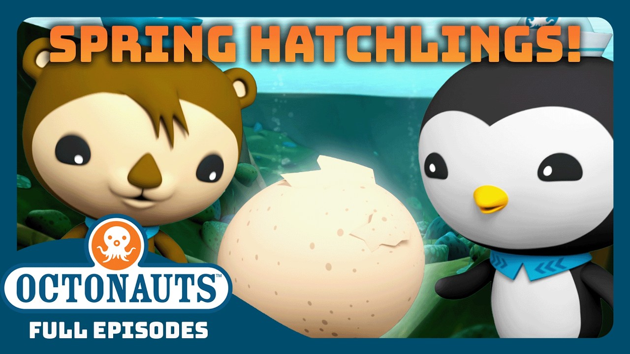 @Octonauts - 🌸 Cutest Spring Babies 🪺 | 90 Mins+ Full Episodes Marathon