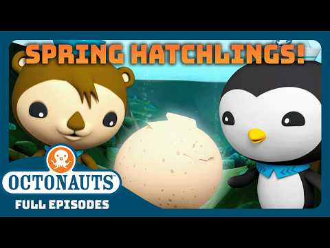 @Octonauts - 🌸 Cutest Spring Babies 🪺 | 90 Mins+ Full Episodes Marathon