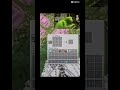 Kermit is cracked at Minecraft