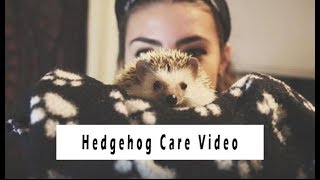 HEDGEHOG CARE VIDEO || GIVEAWAY WINNER