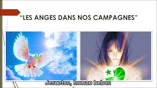 27 de janeiro de 2026