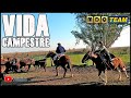 VIDA CAMPESTRE - LA VACUNA (NO ES PESCA)