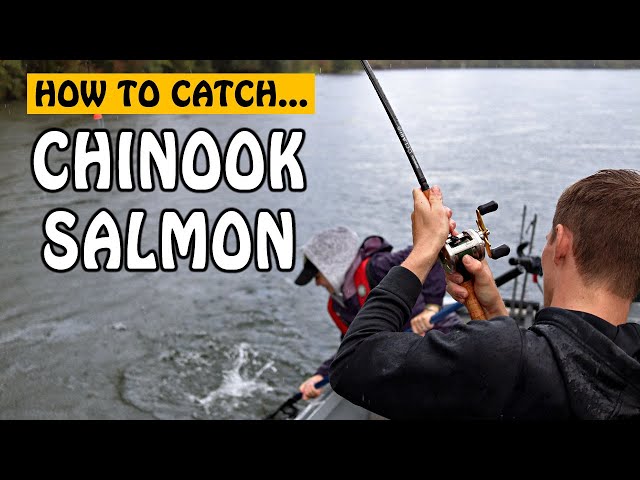 HOW TO CATCH BIG CHINOOK SALMON? Somass River Salmon Fishing