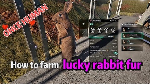 How to Farm Lucky Rabbit Fur