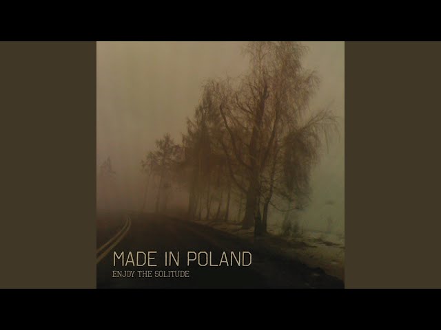 MADE IN POLAND - SCARECROW
