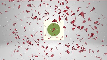 Best Intro 2021-2022 | Butterfly Intro