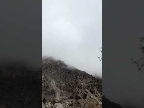 آمل دوروزدنیاارزش هیچی نداره زندگی کن 