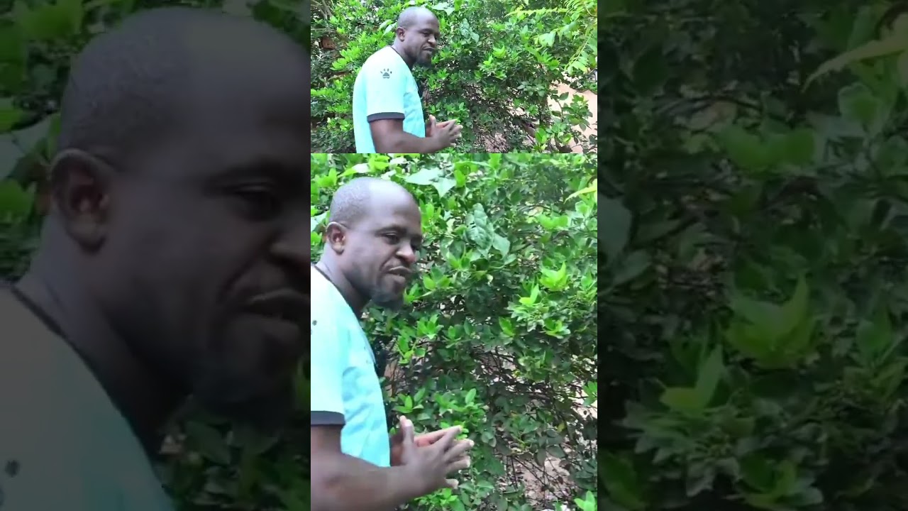 #ecoledejardinagemarcottage #farming #garden #gardening #fruit #entrepreunariat #agriculture