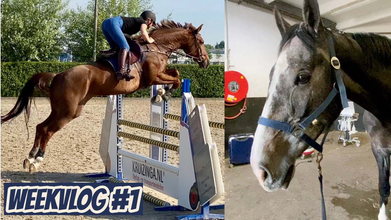 LENTE NAAR DE DIERENARTS & SPRINGEN MET ARIANE | Weekvlog #1, deel 1| Demi van Nikkelen Kuijper