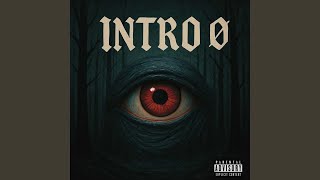 Intro 0 Net Worth