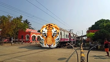 Furious Angry Tiger Spped : Bandel Katwa Passenger Dangerous Aggressive Passing Through Out Railgate