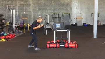 PARE/POPAT Training: Two Positions for the Push (Push/Pull Machine)