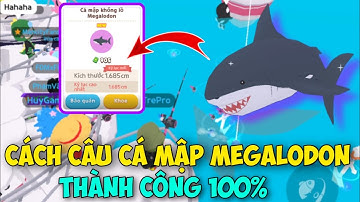 [PLAY TOGETHER] Hướng Dẫn Câu Cá Mập Khổng Lồ Megalodon Thành Công 100% Trong Play Together