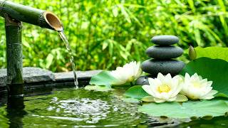 Silent Tea Garden 🌙 Trickling Fountain Sounds, Calm Piano Music and Bamboo Relaxation for Deep Sleep screenshot 5